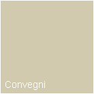 Convegni